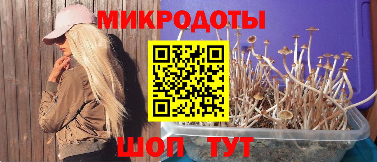 Галлюциногенные грибы мицелий  магазин продажи наркотиков  Зерноград  Вход с VPN 